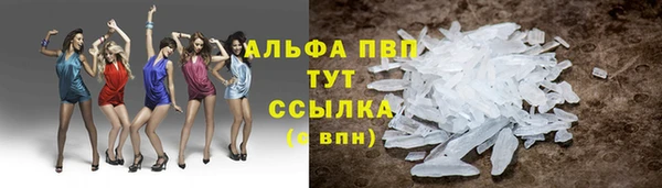 гашик Богданович