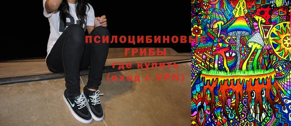 гашик Богданович