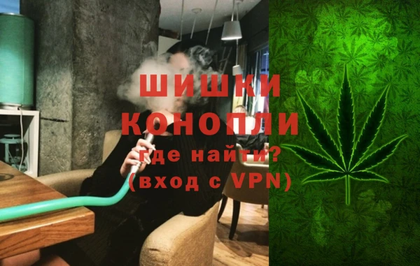 гашик Богданович