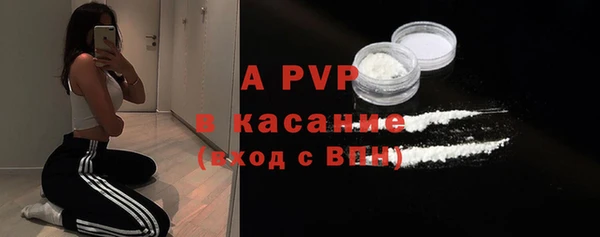 гашик Богданович