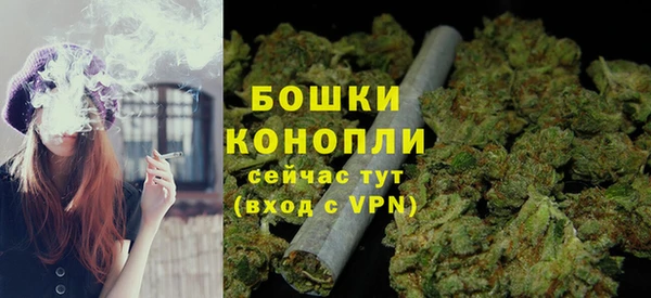 гашик Богданович