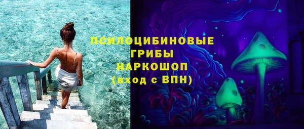 дурь Богородицк