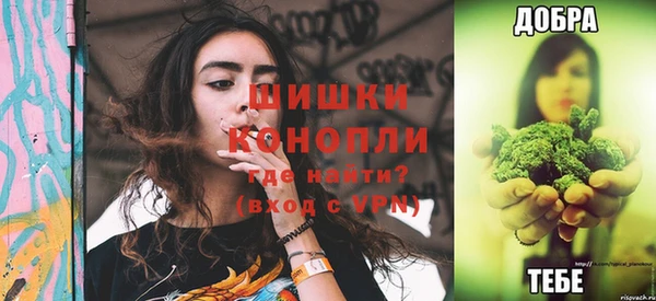 гашик Богданович