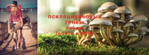гашик Богданович