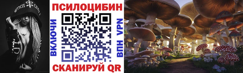 mega ссылки  Макаров  Псилоцибиновые грибы Psilocybine cubensis 